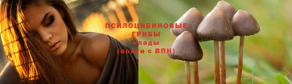 тгк Алексеевка