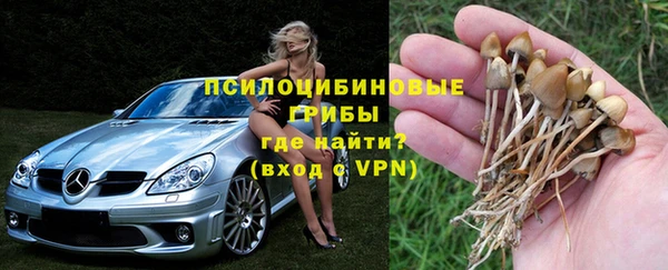 бошки Алзамай